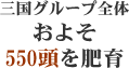 ☆ 三国グループ全体 ☆およそ1000頭を肥育